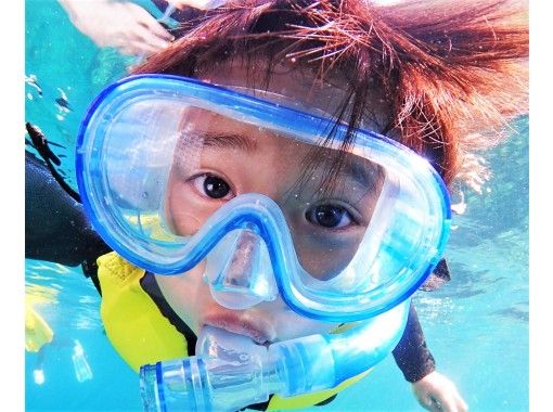 [團體包機] 2至60歲以上也參加OK☆藍洞[浮潛]具有免費攝影和餵養經驗の紹介画像