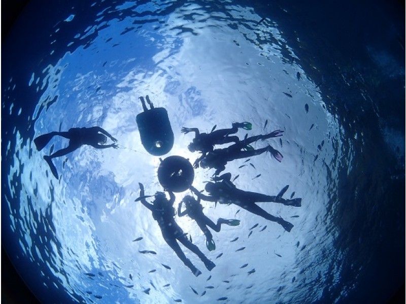 [团体包机] 2至60岁以上也参加OK☆蓝洞[浮潜]具有免费摄影和喂养经验の紹介画像