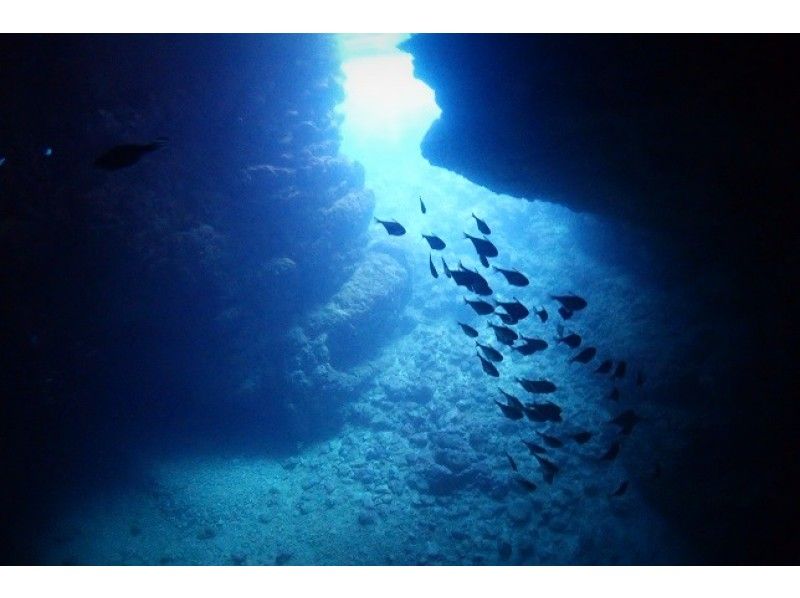 [团体包机] 2至60岁以上也参加OK☆蓝洞[浮潜]具有免费摄影和喂养经验の紹介画像