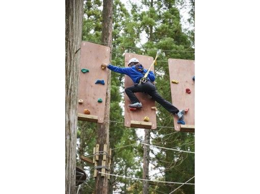 福井 池田町 樹の上のアスレチックで遊ぼう ディスカバリーコース アクティビティジャパン