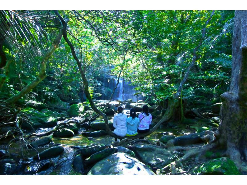 [Iriomote Island Activity]half-day Taketomijima canyoning or waterfall trekking & choose option(With lunch)の紹介画像