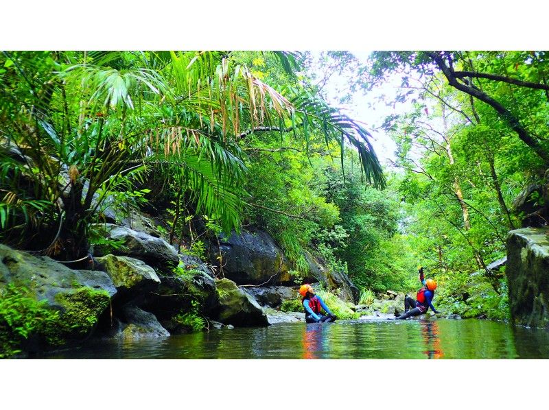 [Iriomote Island Activity]half-day Taketomijima canyoning or waterfall trekking & choose option(With lunch)の紹介画像