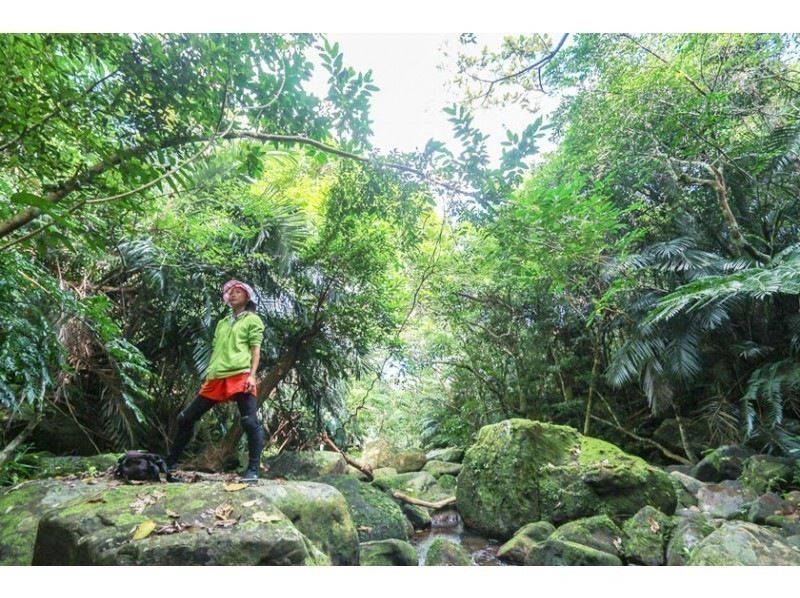 [Iriomote Island Activity]half-day Taketomijima canyoning or waterfall trekking & choose option(With lunch)の紹介画像
