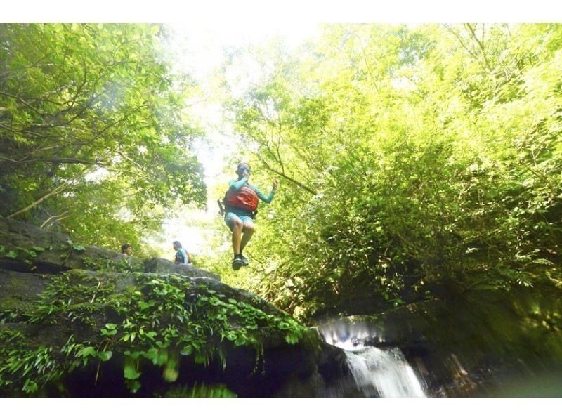 [Iriomote Island Activity]half-day Taketomijima canyoning or waterfall trekking & choose option(With lunch)の紹介画像