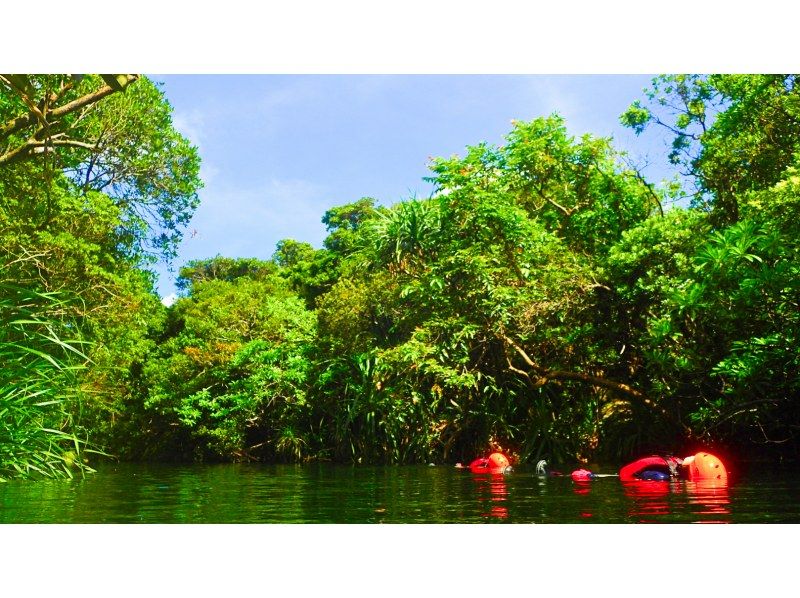 [Iriomote Island Activity]half-day Taketomijima canyoning or waterfall trekking & choose option(With lunch)の紹介画像