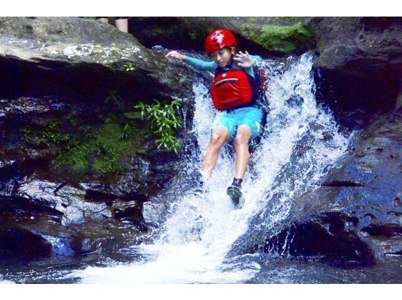 [Iriomote Island Activity]half-day Taketomijima canyoning or waterfall trekking & choose option(With lunch)の紹介画像