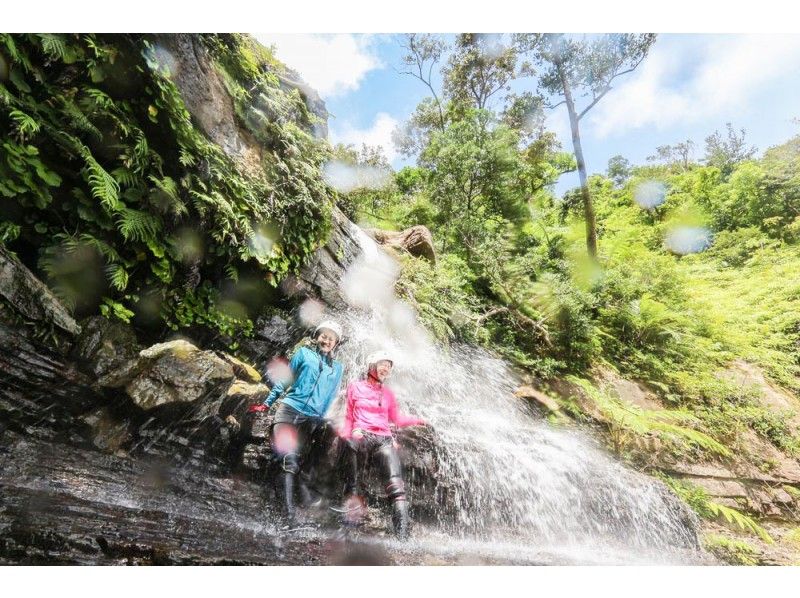 [西表岛活动]半天溪降或瀑布徒步旅行和竹富岛的选择追加（带午餐）の紹介画像
