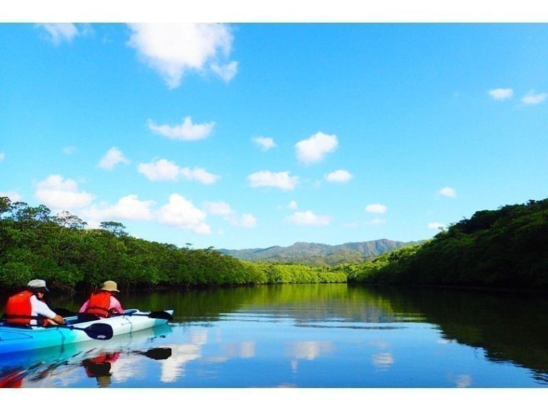[Iriomote Island Activity]half-day Mangrove canoe tour & select Taketomi Island option(With lunch)の紹介画像