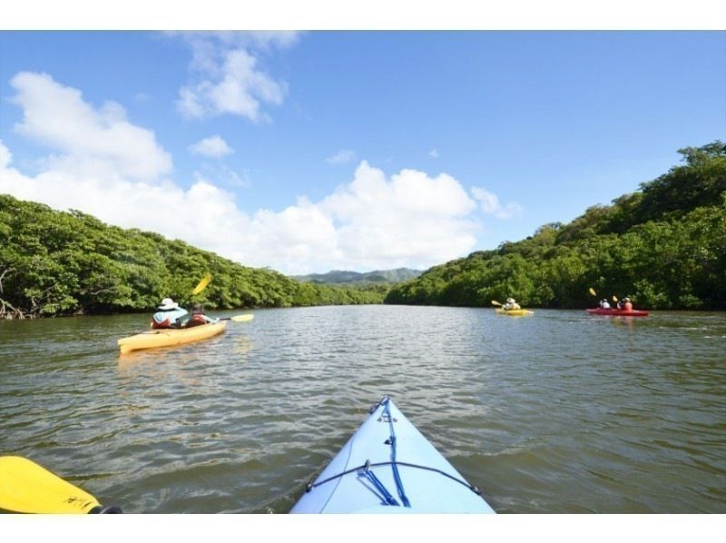 [Iriomote Island Activity]half-day Mangrove canoe tour & select Taketomi Island option(With lunch)の紹介画像
