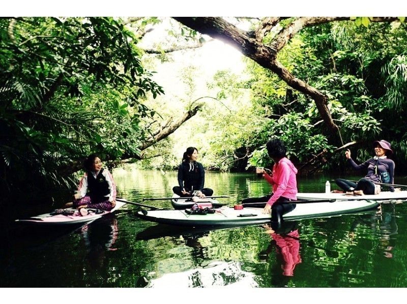 [Iriomote Island Activity]half-day Mangrove SUP Cruise & Selectable Taketomi Island option(With lunch)の紹介画像
