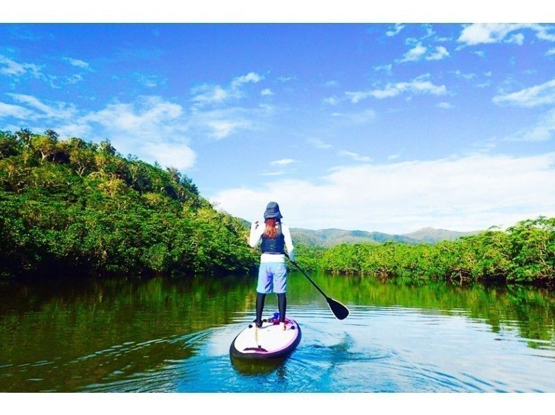 [Iriomote Island Activity]half-day Mangrove SUP Cruise & Selectable Taketomi Island option(With lunch)の紹介画像