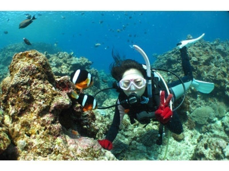 [沖縄·藍洞】美人魚游泳與攝影★藍洞體驗深潛！無限的照片和誘餌或星沙の紹介画像