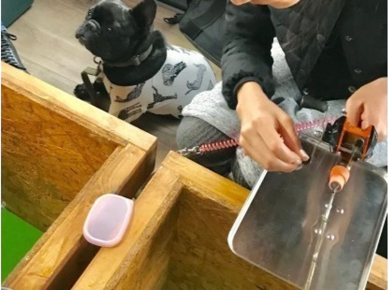 【山梨・山中湖】ゆったりサイズのわかさぎドーム船を貸切。嬉しいペットも幼児もOK！の紹介画像