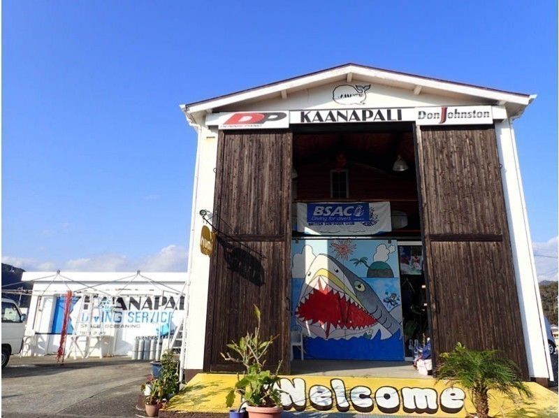 【Tokushima · Kaiyo Town】 Experience diving (boat or beach · 3 hours)の紹介画像