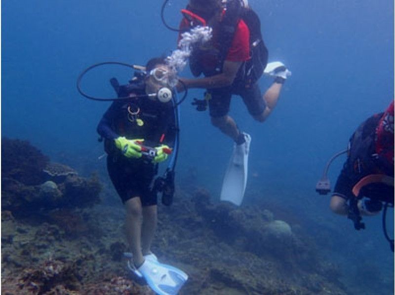 【 德岛 ·海洋镇】体验深潜 （船或海滩·3小时）の紹介画像