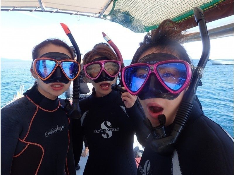 [Okinawa Ishigaki Island] 2.5 hours snorkelingの紹介画像