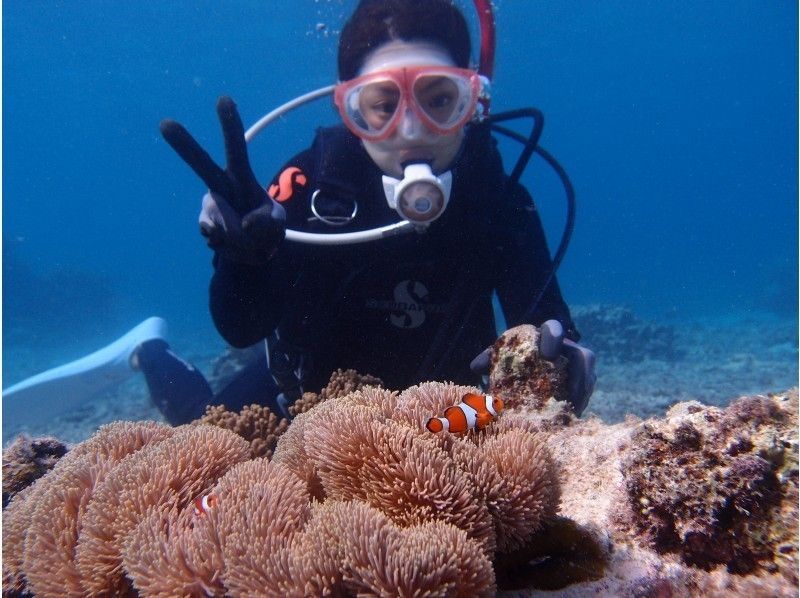 [Okinawa ・ Ishigaki island] 2,5h short experience Divingの紹介画像