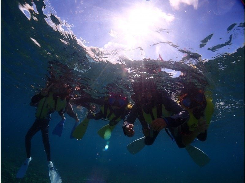 [Okinawa, Ishigaki Island city area departure] AM snorkelingの紹介画像