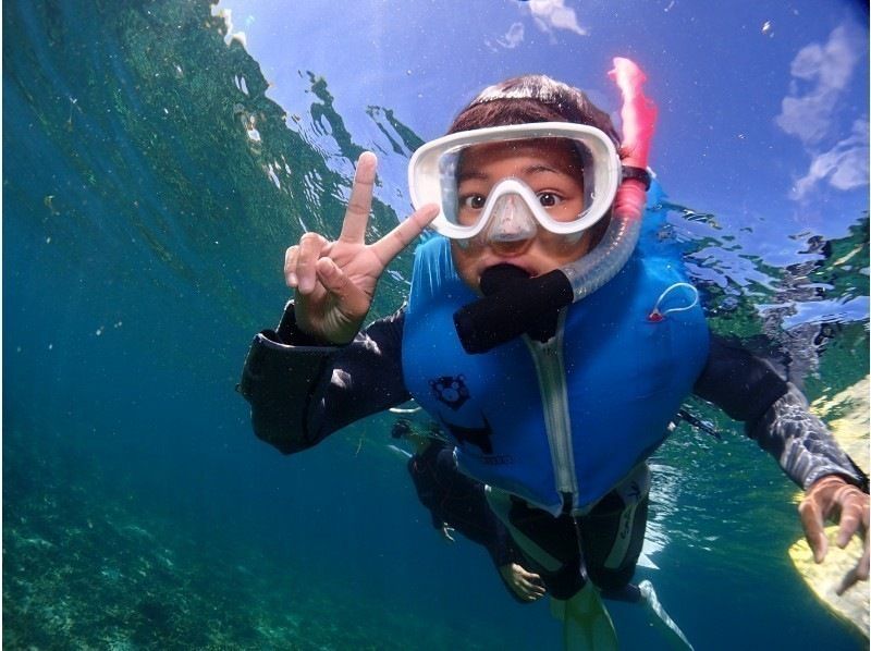 [Okinawa, Ishigaki Island city area departure] AM snorkelingの紹介画像