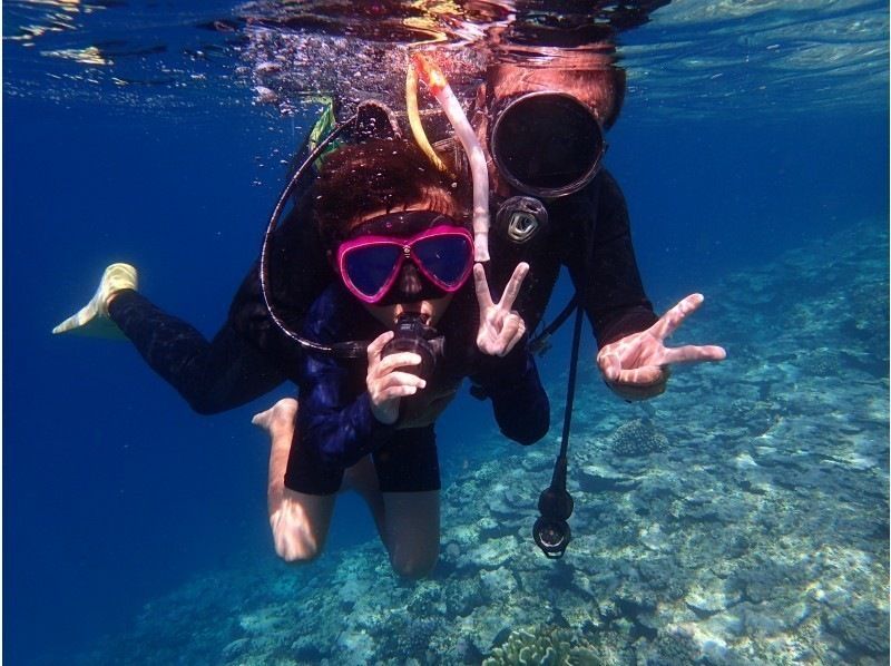 [Okinawa, Ishigaki Island city area departure] AM experience divingの紹介画像
