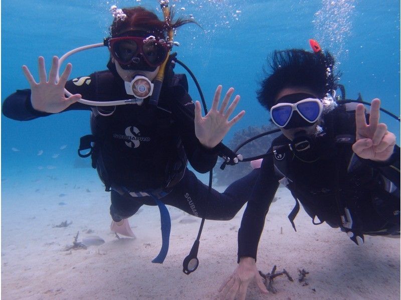 【沖縄・石垣島市街地発】ＰＭ幻の島☆浜島上陸付シュノーケリング＆体験ダイビングコースの紹介画像