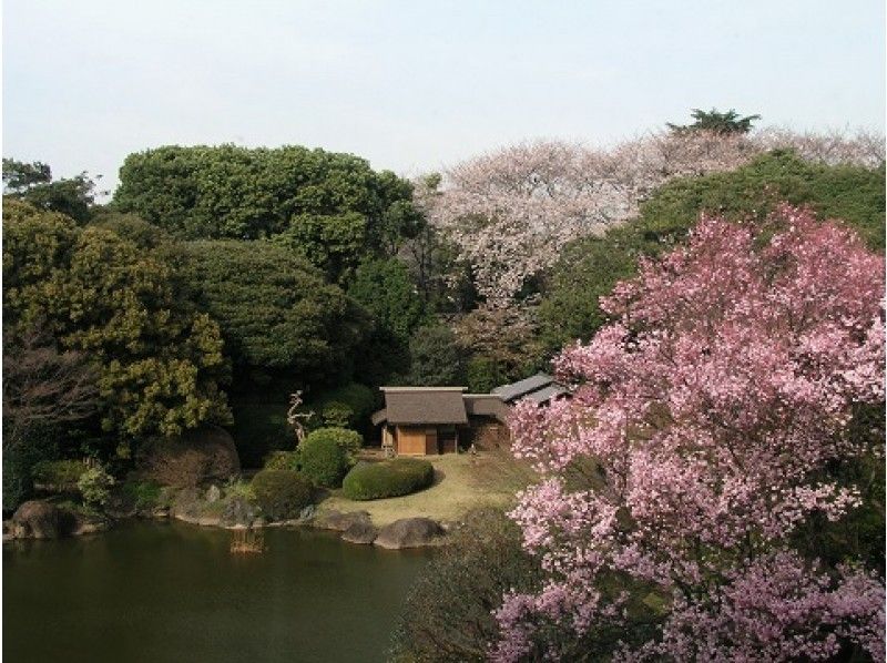 ≪団体予約でスムーズ入場≫迎賓館赤坂離宮見学&目黒川桜散策と庭園特別公開見学バスツアー【11994】の紹介画像