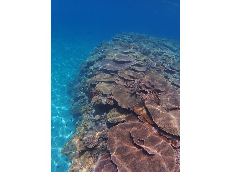 【沖縄・座間味】カヤック＆シュノーケル！無人島半日ツアーの紹介画像