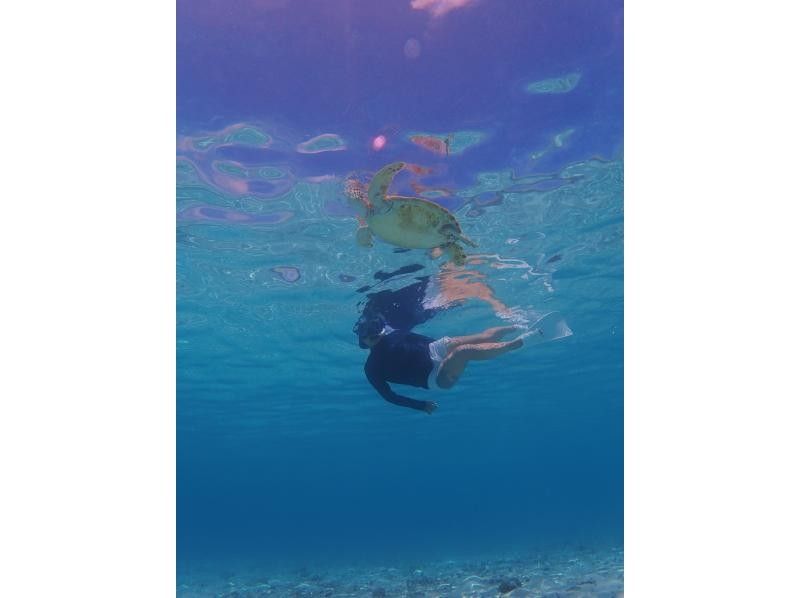 【沖縄・座間味】カヤック＆シュノーケル！無人島半日ツアーの紹介画像