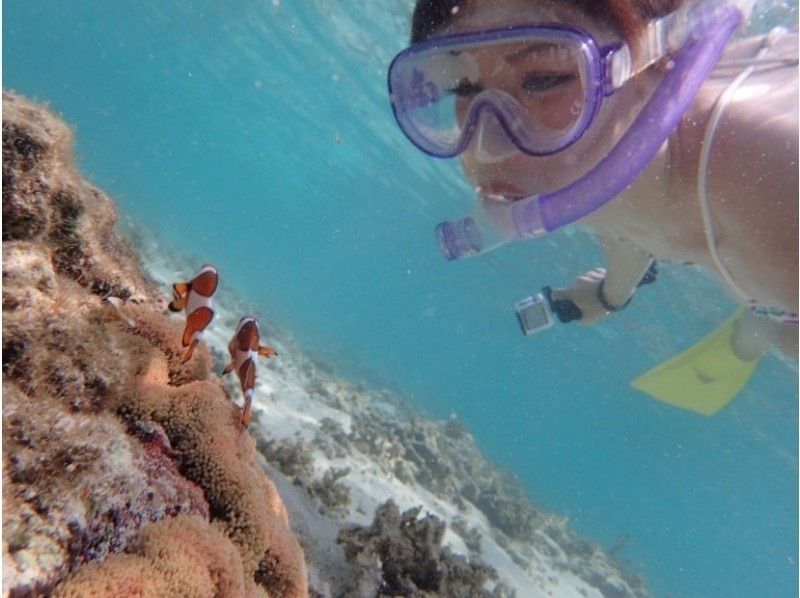 [Okinawa-Zamami]Kayak& Snorkel! Uninhabited island half-day Toursの紹介画像