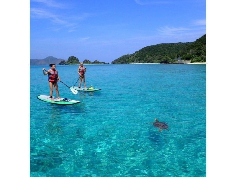 [Okinawa-Zamami] SUP & snorkel! Private beach half-day Toursの紹介画像