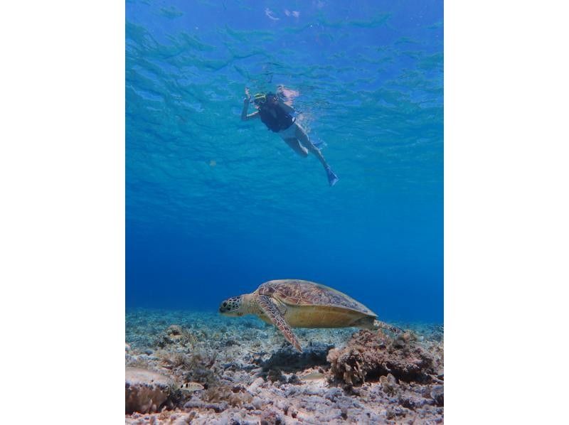 【沖縄・座間味】ＳＵＰ＆シュノーケル！プライベートビーチ半日ツアーの紹介画像