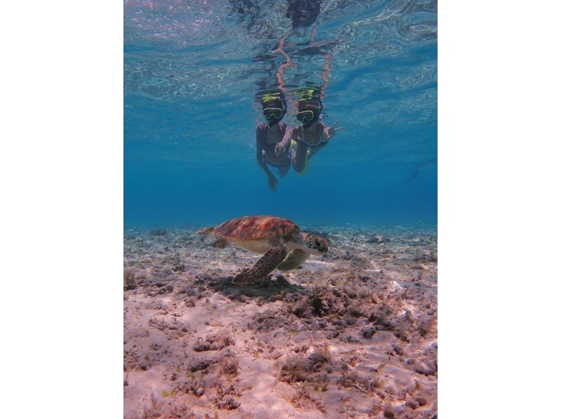 【沖縄・座間味】ＳＵＰ＆シュノーケル！プライベートビーチ半日ツアーの紹介画像