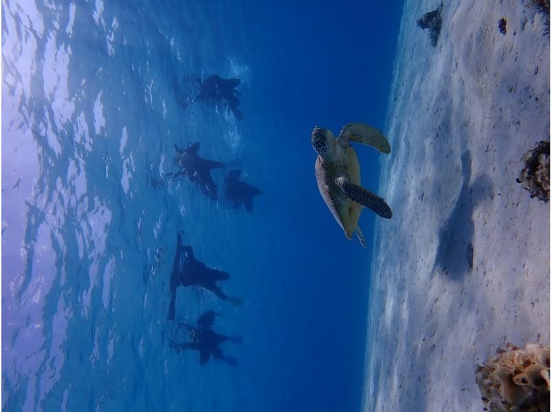 [Okinawa-Zamami] SUP & snorkel! Private beach half-day Toursの紹介画像