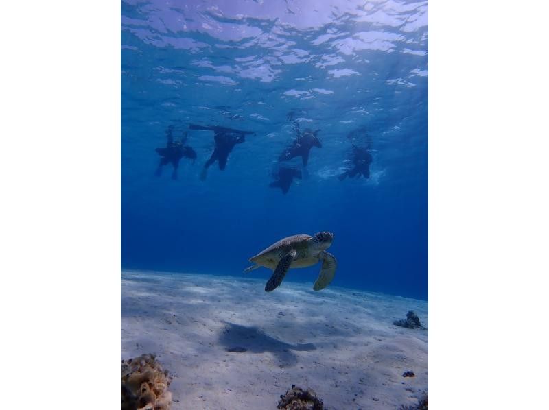 【沖縄・座間味】ＳＵＰ＆シュノーケル！プライベートビーチ半日ツアーの紹介画像