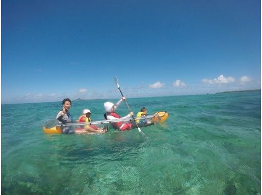 沖縄 備瀬 シュノーケリングの様な感覚 スケルトンカヤック熱帯魚ウォッチング 60分 アクティビティジャパン