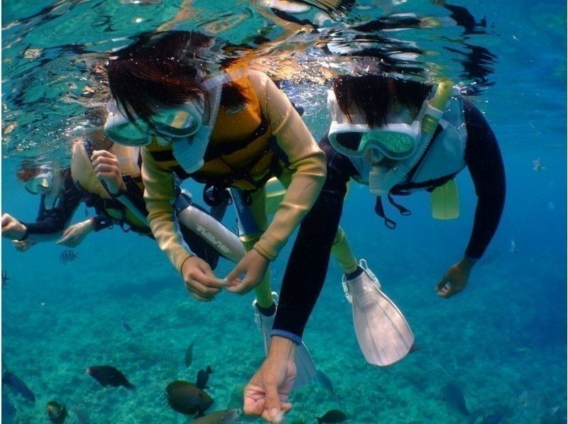 [Okinawa Blue Cave] ดำน้ำตื้นแบบเช่าเหมาลำสำหรับครอบครัว ★ บทวิจารณ์ระดับห้าดาวจำนวนมาก ★ นำเสนอภาพถ่ายและวิดีโอ ณ จุดนั้น ♪ กฎบัตรไกด์ ♫ รองเท้าแตะให้เช่าฟรี ♫の紹介画像