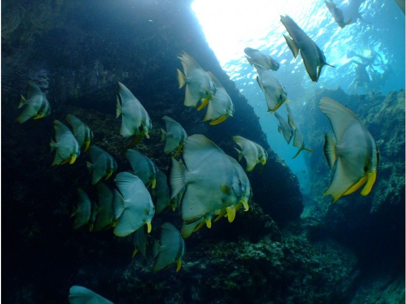 [Okinawa Blue Cave] ดำน้ำตื้นแบบเช่าเหมาลำสำหรับครอบครัว ★ บทวิจารณ์ระดับห้าดาวจำนวนมาก ★ นำเสนอภาพถ่ายและวิดีโอ ณ จุดนั้น ♪ กฎบัตรไกด์ ♫ รองเท้าแตะให้เช่าฟรี ♫の紹介画像