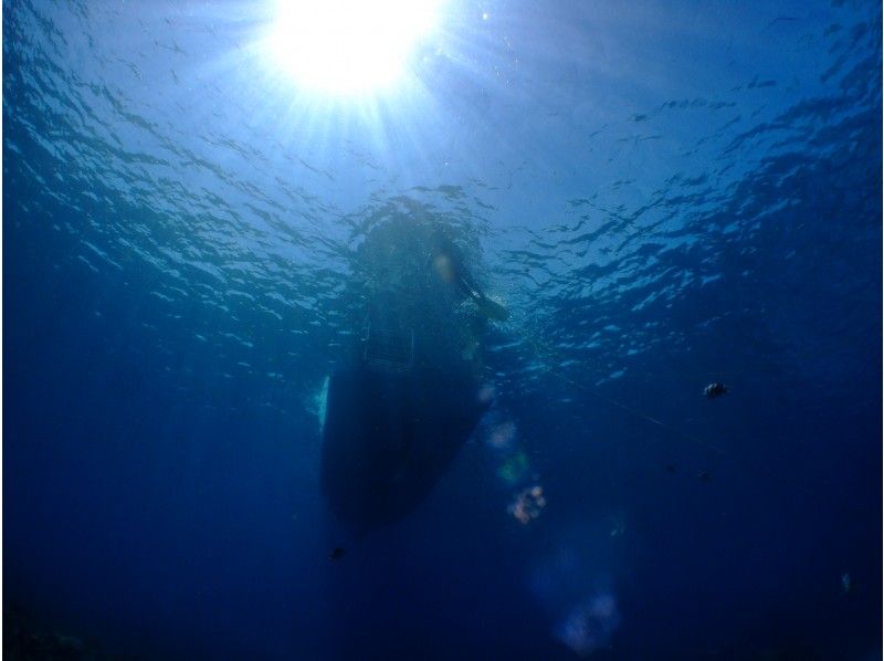 [Okinawa Blue Cave] Family charter snorkel ★ Many five-star reviews ★ Present photos and videos on the spot ♪ Guide charter ♫ Sandals rental free ♫の紹介画像