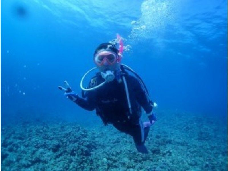 【沖縄県・宮古島】水中を1グループ毎にご案内！宮古島でおすすめのビーチ体験ダイビング　写真付きの紹介画像