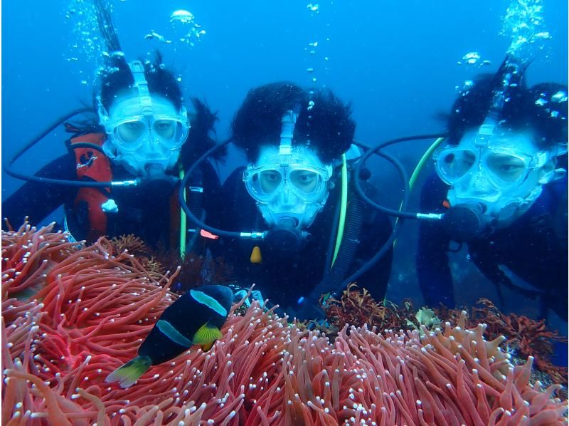 伊豆大島體驗潛水的學生 伊豆大島 Mr Dolphin Diving Service