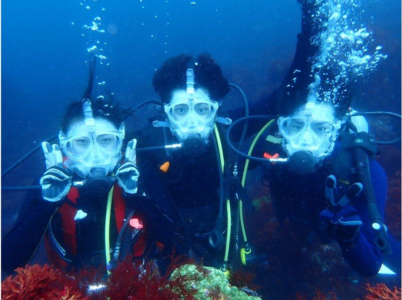 [东京·伊豆大岛】包括水下照片！经验深潜♪の紹介画像