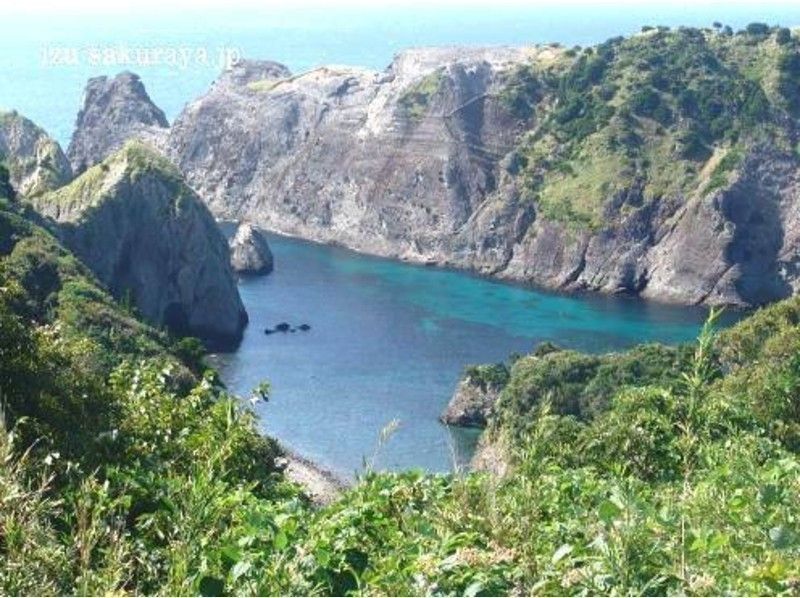 [南伊豆、中城]早鳥優惠 Hirizo 海灘浮潛之旅 1 天課程 ¥11,000 起 含全套租賃和午餐の紹介画像