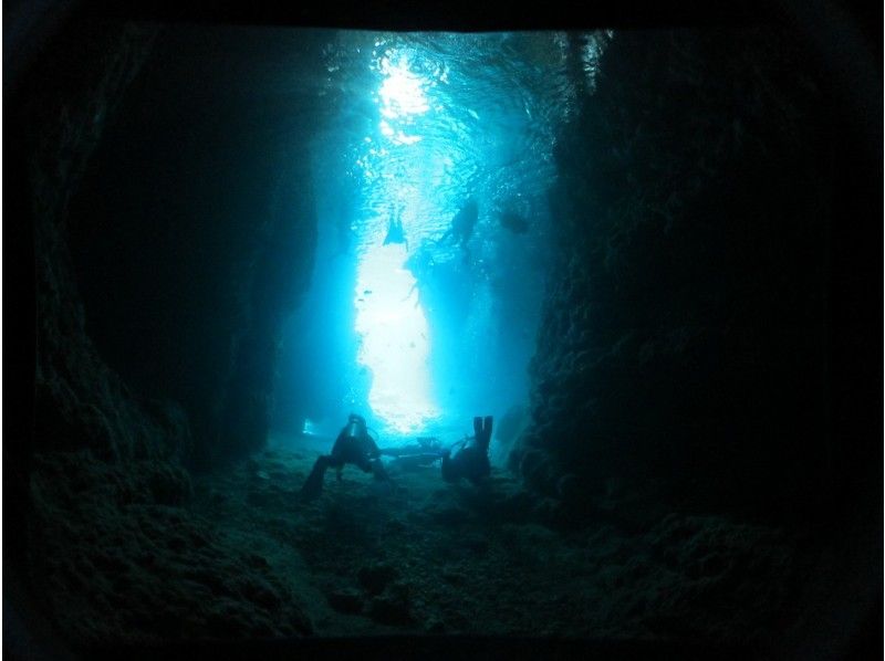 【ボート】で行く『青の洞窟』体験ダイビング！餌付け体験付き！！の紹介画像
