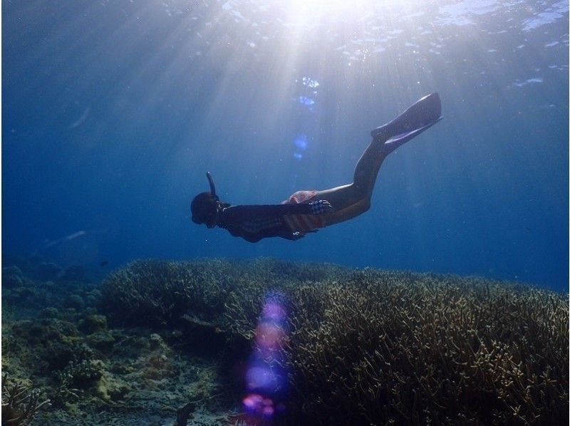【 Okinawa ·ถ้ำสีฟ้า·หมู่บ้าน Onna 】ดำน้ำดูปะการัง·ให้อาหารฟรี!の紹介画像