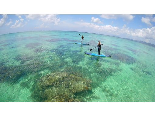 沖縄・石垣島】石垣島の美しい海を満喫！サンゴ礁の海をスイスイ漕ぐ