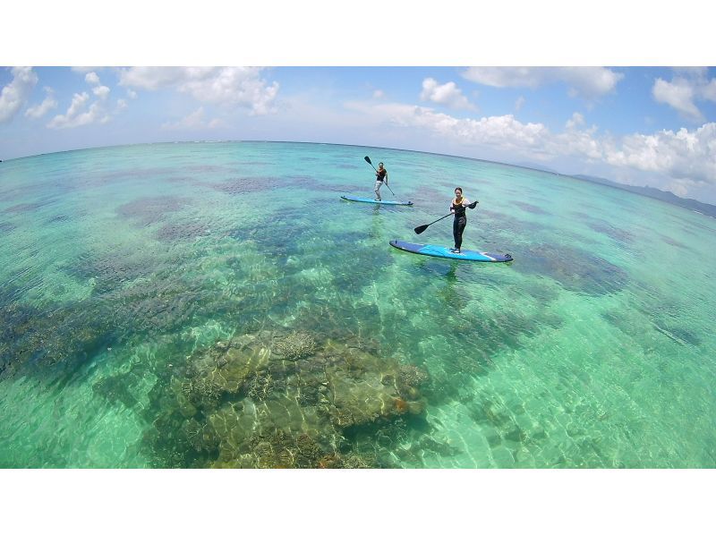 【沖縄・石垣島】石垣島の美しい海を満喫！サンゴ礁の海をスイスイ漕ぐなら！SUPクルージングコース　写真データ付　の紹介画像