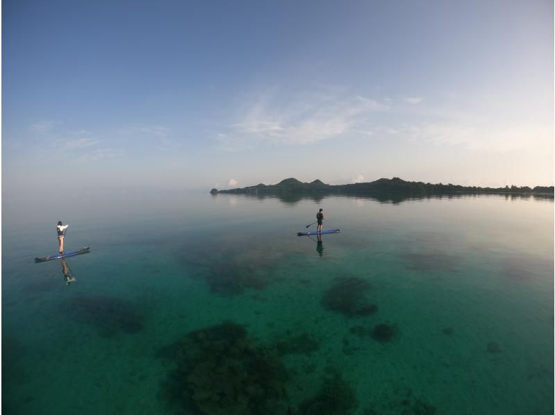 【沖縄・石垣島】石垣島の美しい海を満喫！サンゴ礁の海をスイスイ漕ぐなら！SUPクルージングコース　写真データ付　の紹介画像