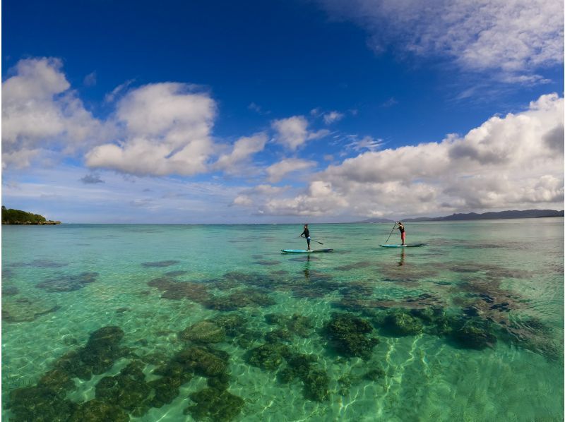 【冲绳·石垣岛】享受石垣岛美丽的大海！如果你排珊瑚礁海！ SUP 巡游船课程の紹介画像