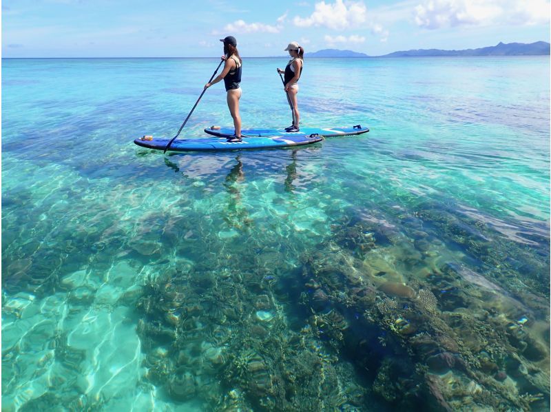 【沖縄・石垣島】石垣島の美しい海を満喫！サンゴ礁の海をスイスイ漕ぐなら！SUPクルージングコース　写真データ付　の紹介画像