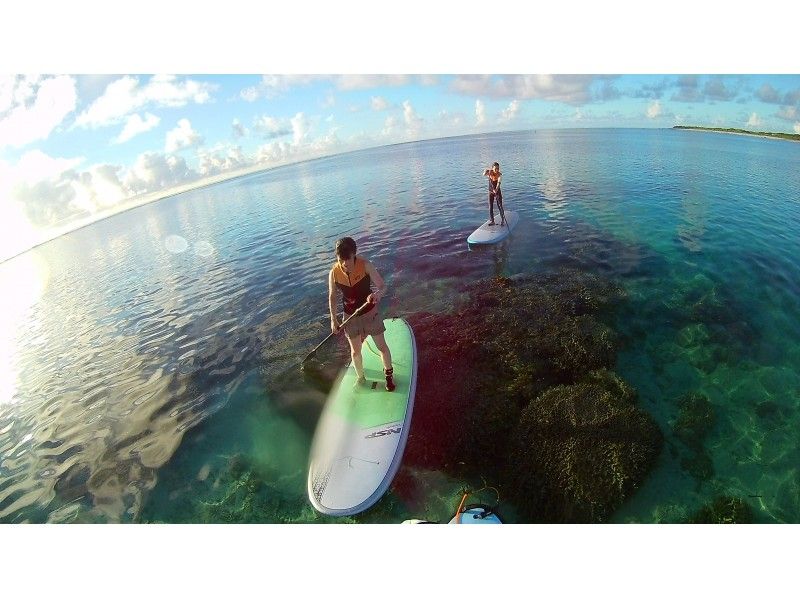 시라호 해안에서 SUP를 즐기는 이시가키섬 SUP 투어 카치바이